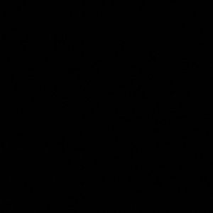 Meet your Posher, Jentsy